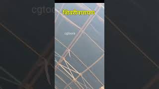 Shivrinarayn Durga Pandal 2023