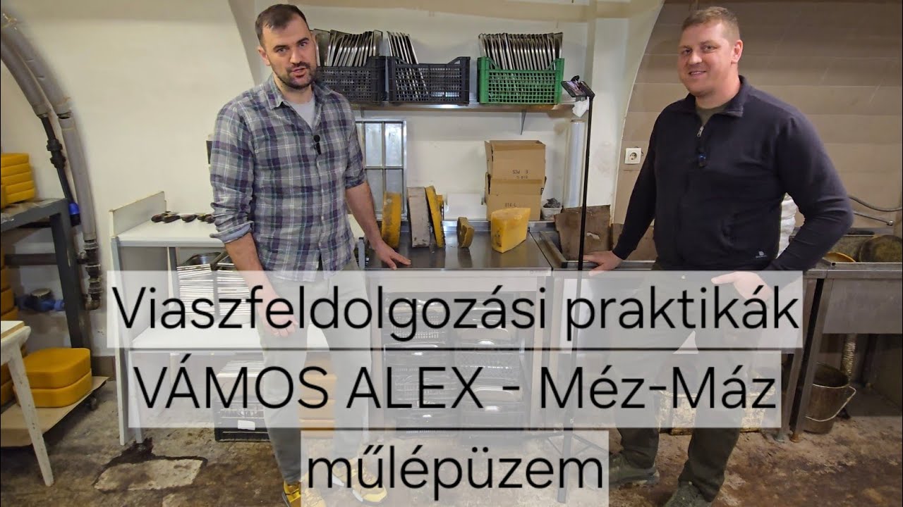 Méhviasz feldolgozási hibák és praktikák Vámos Alexszel I A Méz-Máz műlépüzemben jártunk