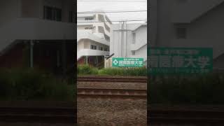 東海道線普通電車小田原行き[E233系の1833E]