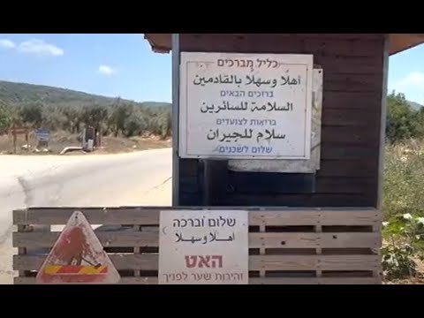 העירוניים חיים בתוך בועה תושבי כליל מספקים הצצה לחייהם 