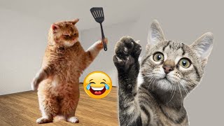 Funniest Animals 😄 New Funny Cats and Dogs Videos 2024 😹🐶 #277 by Pets Viewers 434 views 5 days ago 8 minutes, 23 seconds