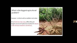 DeepNNs 2021: Lecture 13 Deep Learning in Developing World Applications