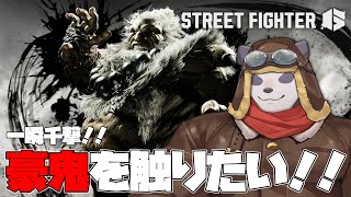 【SF6/スト6】一瞬千撃のパンダ、爆誕【摩耶パンダ/ケモノVTuber】