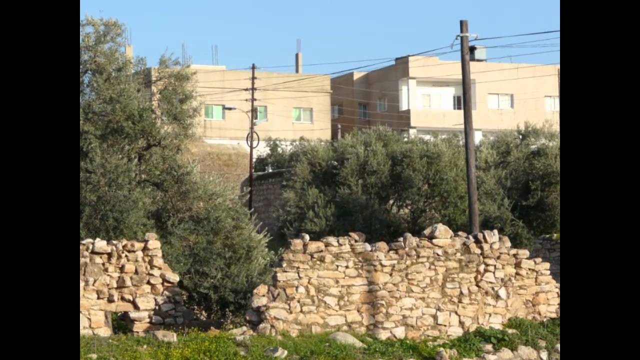 الصريح ... أجمل فيديو عن مدينة الصريح 2011