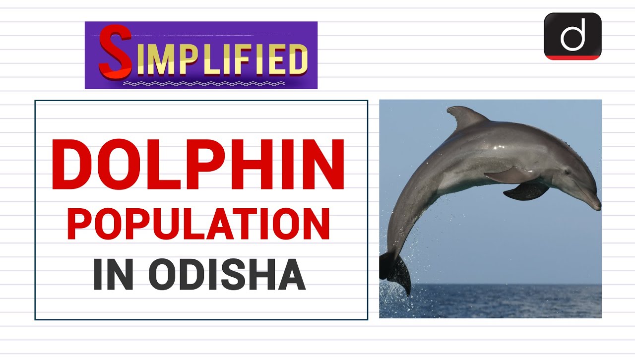 Dolphin Population in Odisha: Simplified