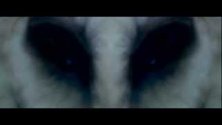 Restless- Echo the line (better quality)