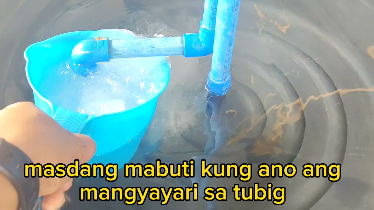 How to Clean Membrane for Water Refilling Station