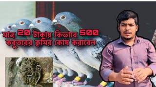 ২০ টাকায় ৫০০ কবুতরের কৃমির কোর্স?||Mahadi & Pets