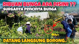 Taman rekreasi Selecta Batu Malang