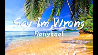 Ballyhoo! - Say im wrong (with lyrics)