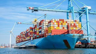 Entire Occean Shipping Process Explained