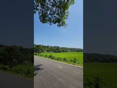 🏞️😍 #song #youtubeshorts #shorts #naturelovers #nature