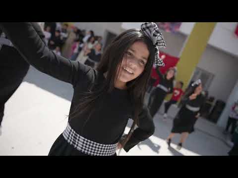 الدبكة الفلسطينية مدرسة طارق بن زياد حي التضامن 