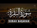 Surah Al-Baqarah (سورة البقرة) | Complete Tilawat for Protection & Calmness