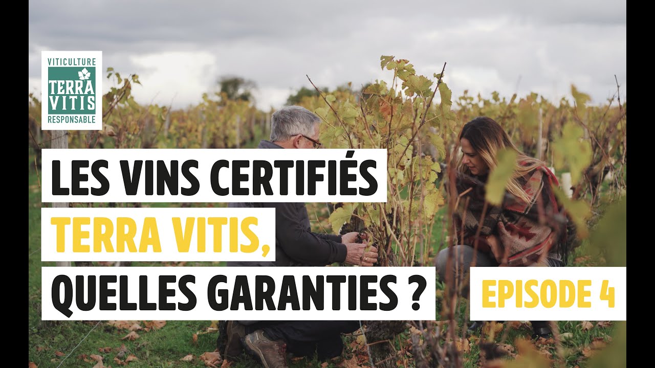 LOIRE : Les bonnes démarches Terra Vitis à la Cave des producteurs de Montlouis -sur-Loire