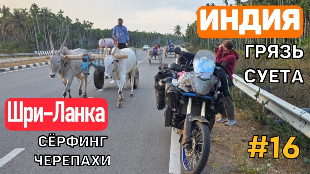 Шри-Ланка перелёт в Индию, продолжение путешествия на мотоцикле