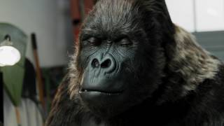 Gorilla Sealant 2017 Commercial - 15sec