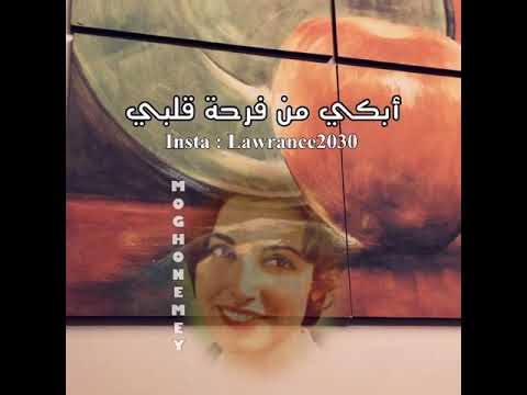 حالات واتس نجاة الصغير ساعة ما بشوفك 