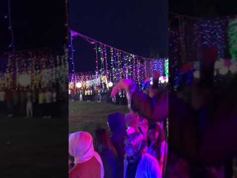 ROJDA BİTER - BULANIK ( Düğün ) HALAY 2019