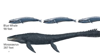 Jurassic World 1-3 &amp; Camp Cretaceous All Dinosaurs &amp; Creatures Size Comparison