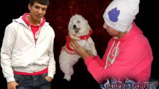 Patronmurat Suss Yanqın Var Yüreqimde 2012 New Resimi