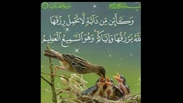 سورة العنكبوت تلاوة القارئ إسلام صبحي