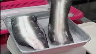 Eel farming Korean Food