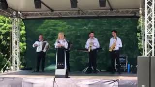 Denisa Mirisan - Colaj Live 2019