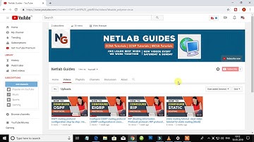 Why You will Watch Netlab Guides