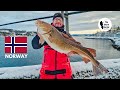 Shore Fishing Norway, Day 1 & 2 Wayne Hand Cod & Haddock Fishing 4K.