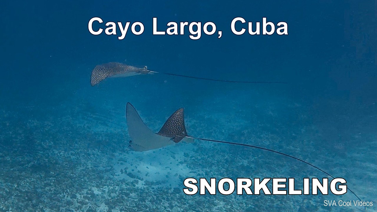 Snorkeling in Cayo Largo, Cuba June 2025