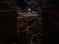 Love Nwantiti - CKay | lyrics | aesthetic | whatsapp Status | English songs | slowed | sped up 💦