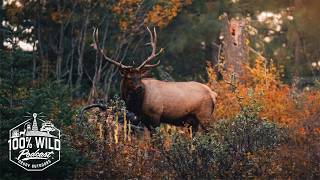 The Nightmare of Misjudging Yardage on a Bull Elk at Full Draw | 100% WILD Podcast Ep. 479
