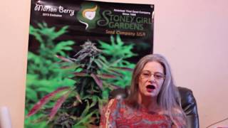 Stoney Story Get Involved in Politics