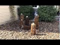 Basalt Columns Fountains