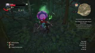 Fighting A Venomous Arachas Out Of Your League In Witcher 3