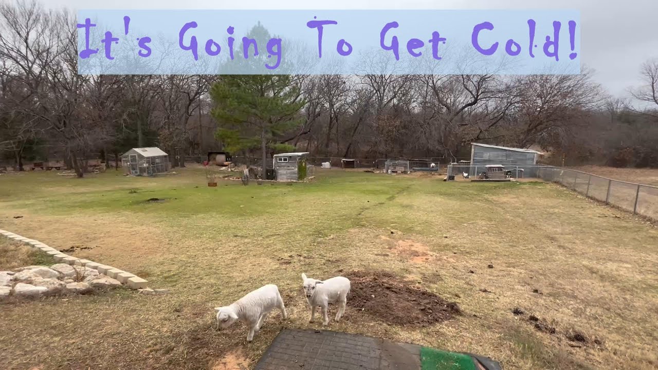 Preparing For The Coming Winter Storm In Texas! - YouTube