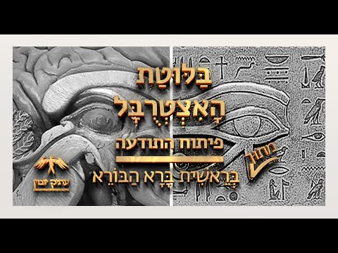 וִידֵאוֹ: היכן ממוקמים מטאורואידים?