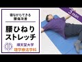 【腰痛改善】理学療法士が教える 寝ながらできる腰ひねりストレッチ（パーキンソン病の方向け）