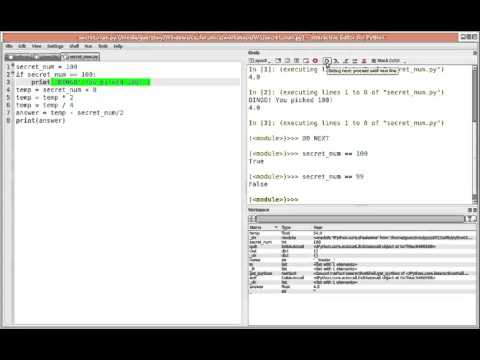 C4M: Tracing If Statements in Pyzo/IEP