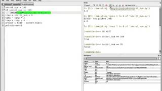 C4M: Tracing If Statements in Pyzo/IEP