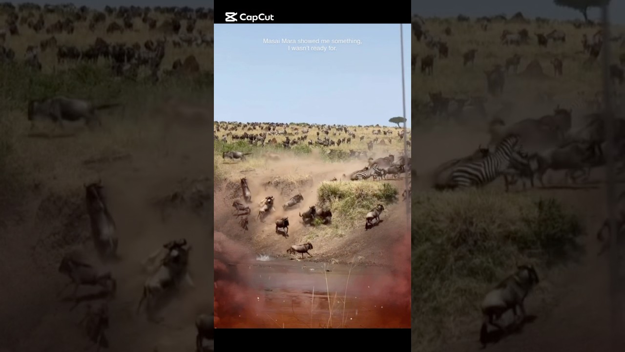#explore #viral #افلام