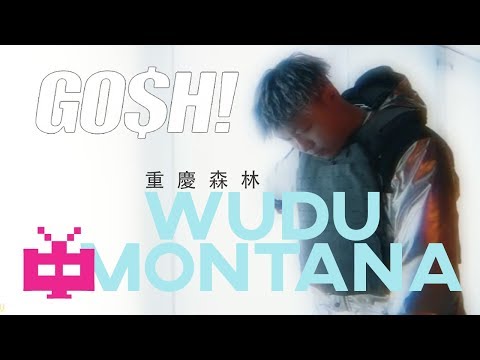 🚨重慶森林 🚨WUDU MONTANA : GO$H MUSIC【 Official MV 】