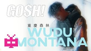🚨重慶森林 🚨WUDU MONTANA : GO$H MUSIC【  MV 】