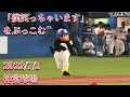 つば九郎、風見しんごさんの「僕笑っちゃいます」を東京音頭に打っ込む 2023/7/1