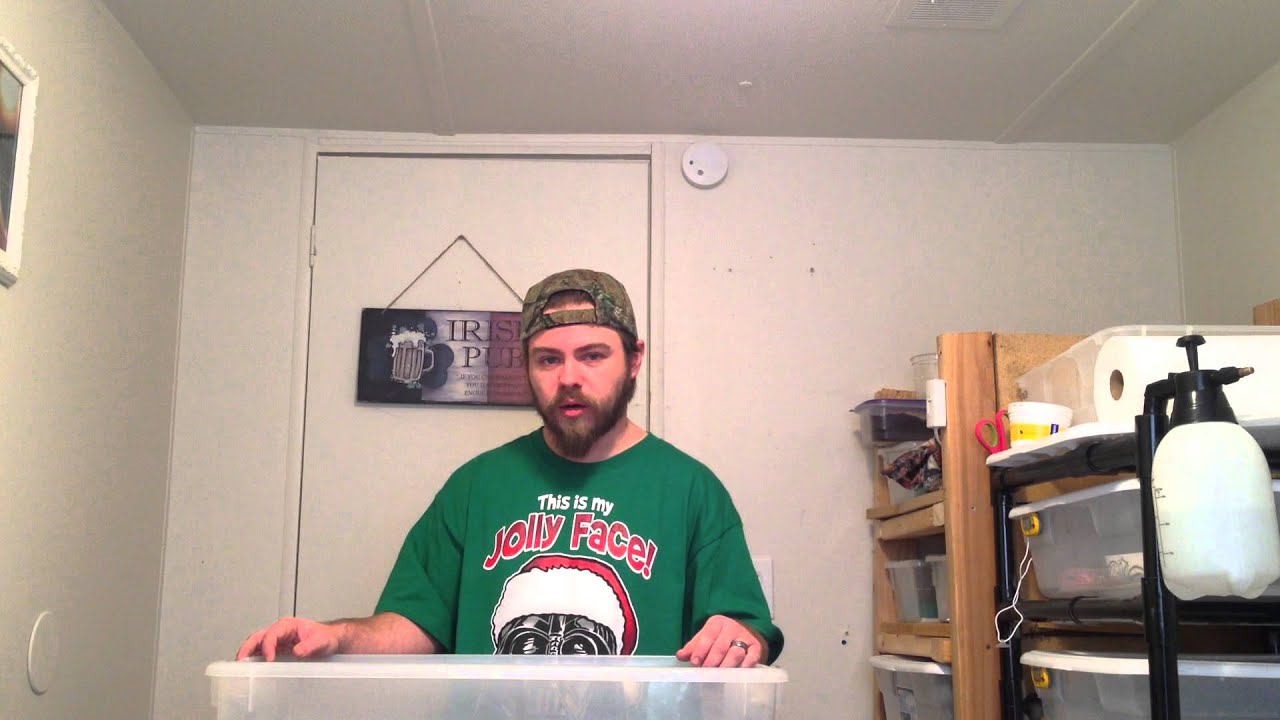 Hedgehog Breeding Baiscs