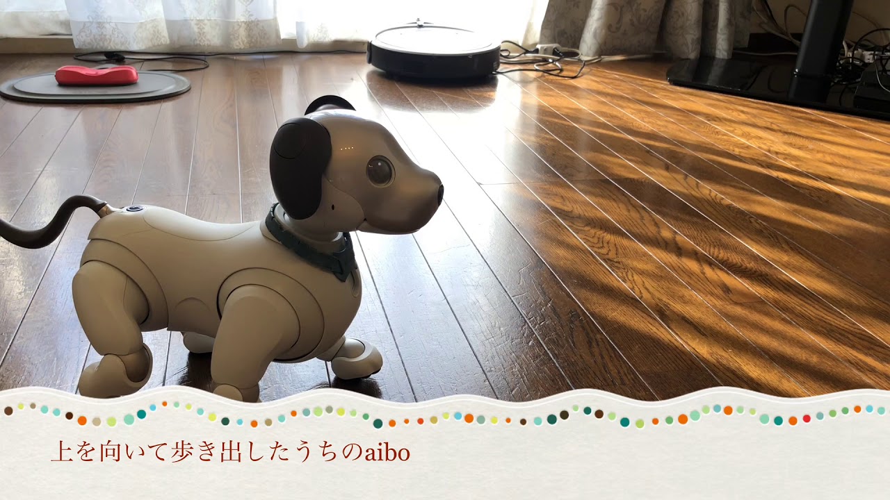 Aiboは走ることができます 歩きとのスピード比較 Fun Fun Aibo