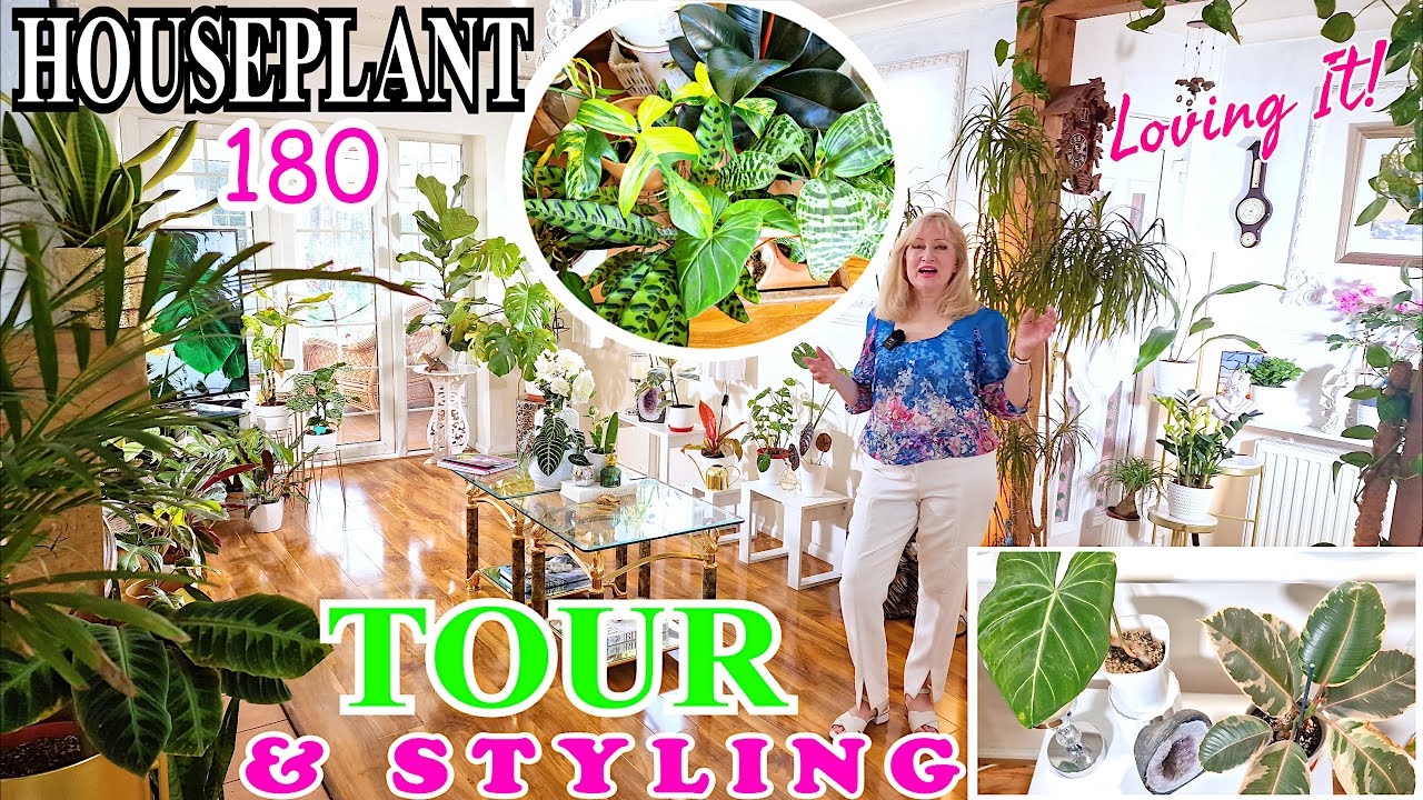 180 PLANT STYLING TOUR Interior Design💛 FABULOUS Houseplants ...