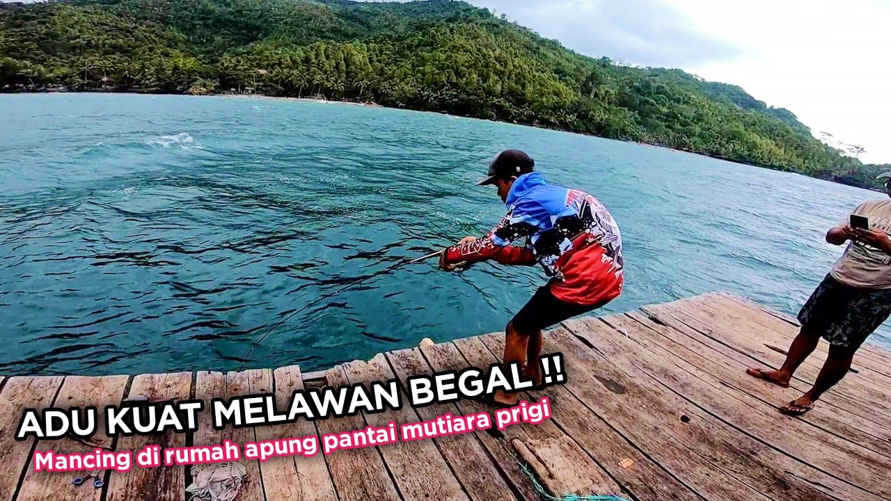 HATI-HATI BANYAK BEGAL ‼️ MANCING DI RUMAH APUNG PRIGI TERBARU