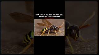 A Tiny Wasp Crashed a Plane